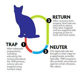TNR_infographic