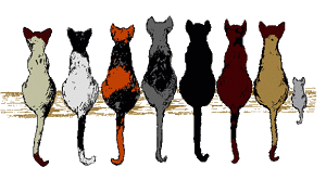 multiple cats