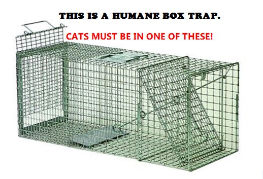 This is a humane box trap. Cats must come in one of these!